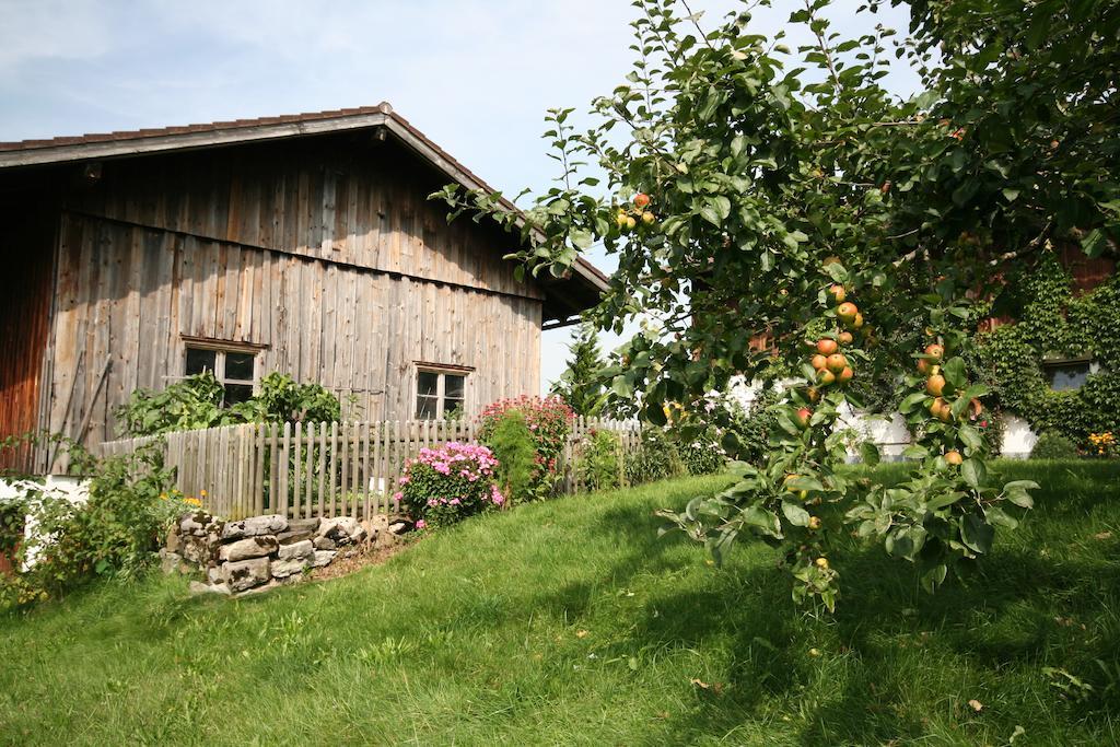 Landhaus Berktold 上迈塞尔施泰因 外观 照片